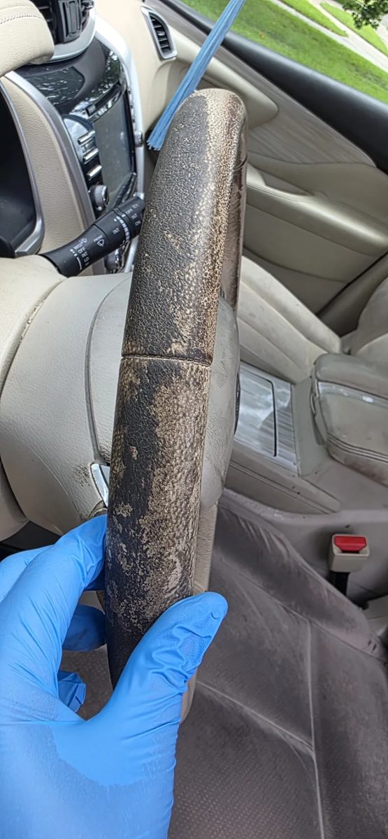 Steering wheel covered in mold growth