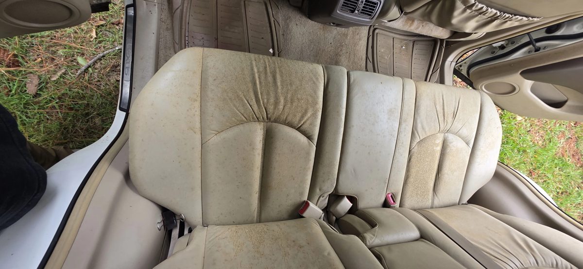 Leather seats with heavy mold growth